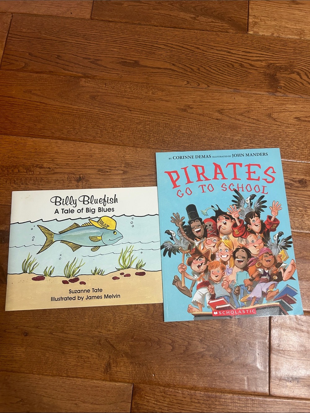 2 softcover kids books